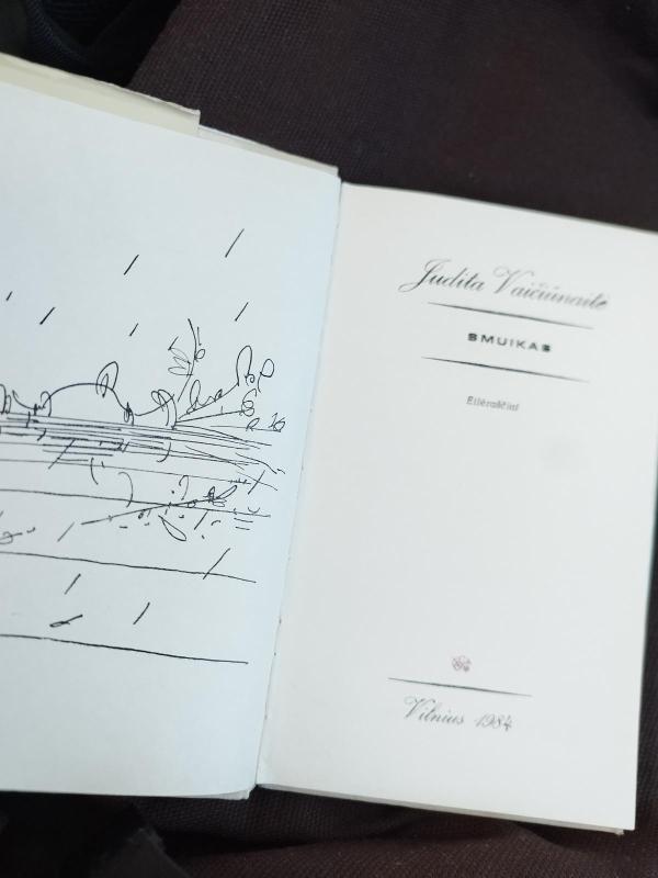 Smuikas - Judita Vaičiūnaitė, knyga 3