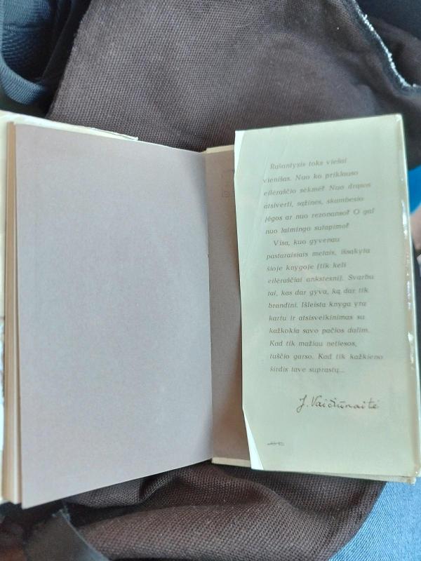 Smuikas - Judita Vaičiūnaitė, knyga 2