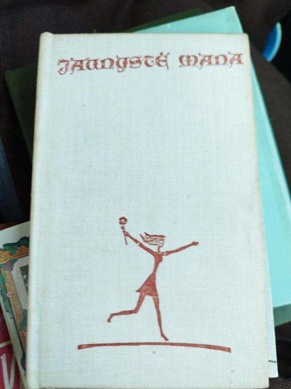 Jaunystė mana - Autorių Kolektyvas, knyga 3