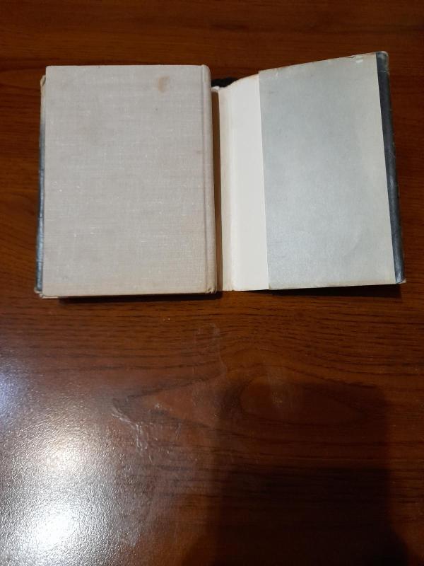 Atošvaistės - Juozas Macevičius, knyga 4