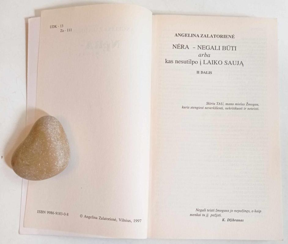 Nėra-negali būti - Angelina Zalatorienė, knyga 3