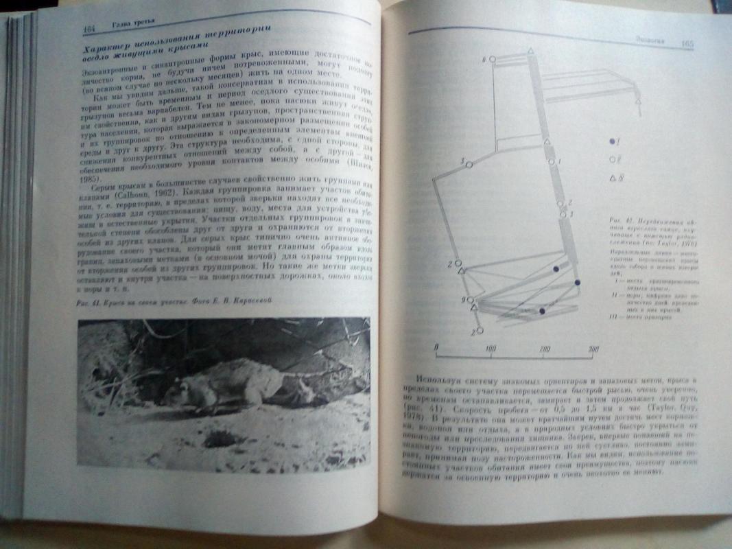 Серая крыса - Autorių Kolektyvas, knyga 3