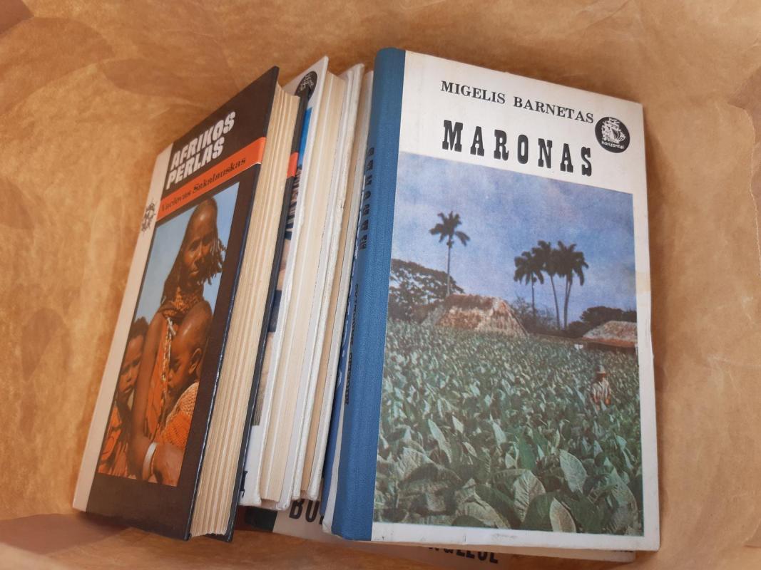 Horizontu serija už 3.50e maišas - Autorių Kolektyvas, knyga 3