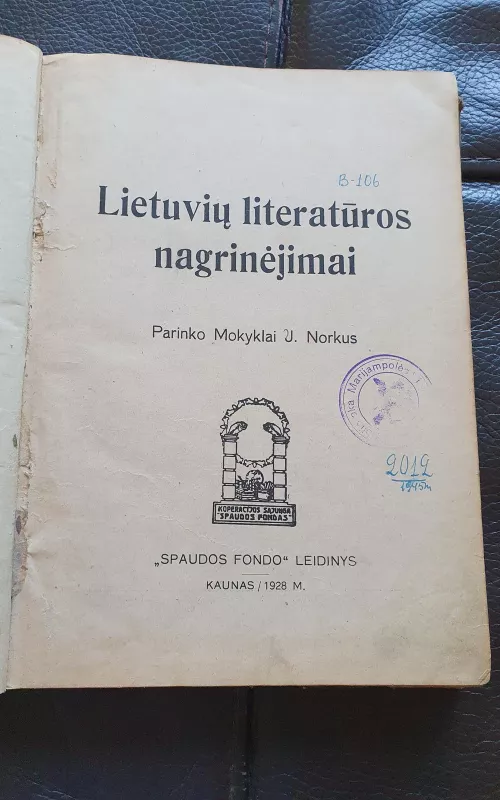 Lietuvių literatūros nagrinėjimai - J. Norkus, knyga