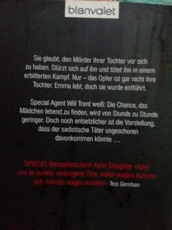 Entsetzen - Karin Slaughter, knyga 4