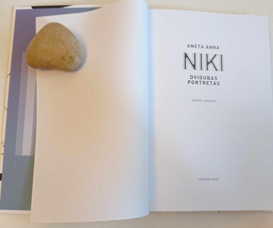 Niki: dvigubas portretas - Aneta Anra, knyga 4