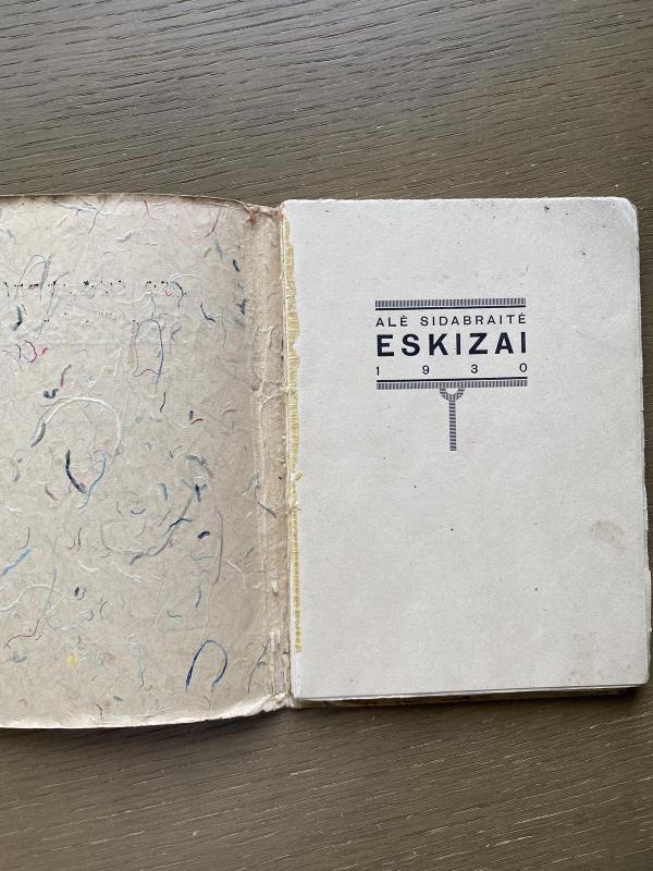 ESKIZAI - ALE SIDABRAITE, knyga 5