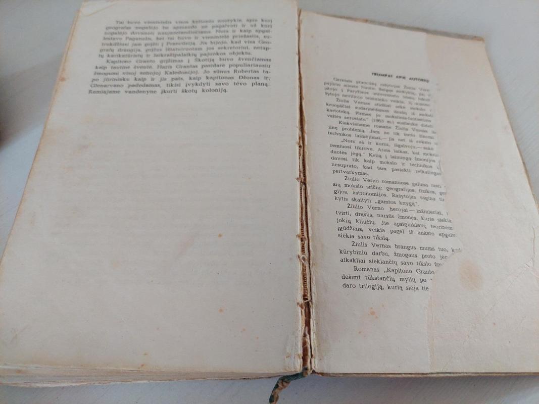 Kapitono Granto vaikai - Žiulis Vernas, knyga 4