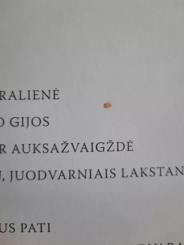 Lietuvių liaudies pasakos - Autorių Kolektyvas, knyga 4