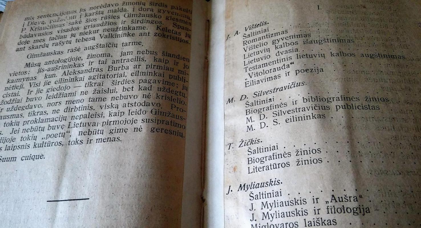 Lietuvių Literatūros Paskaitos - Juozas Tumas, knyga 4