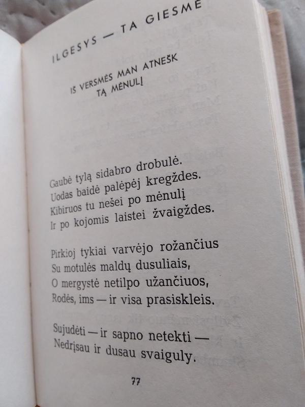 Ilgesys-ta giesmė - Paulius Širvys, knyga 3