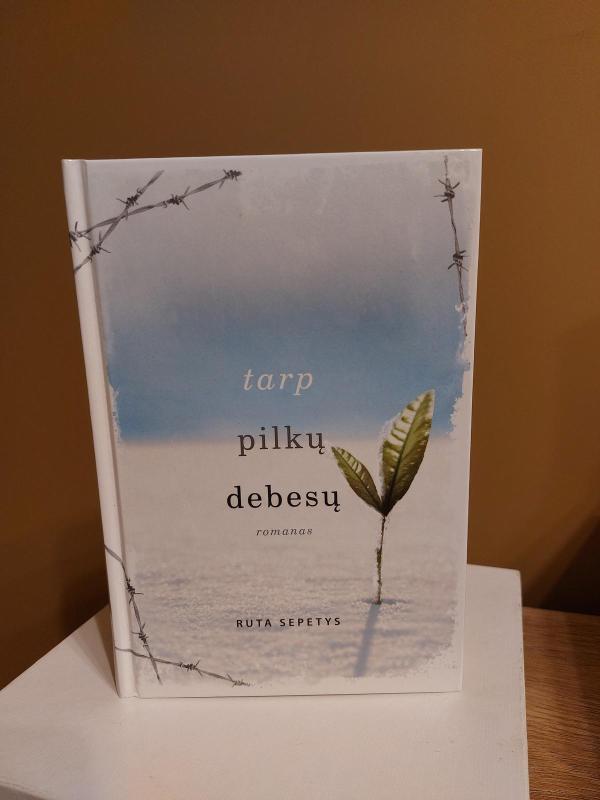 Tarp pilkų debesų - Šepetys Ruta, knyga 3