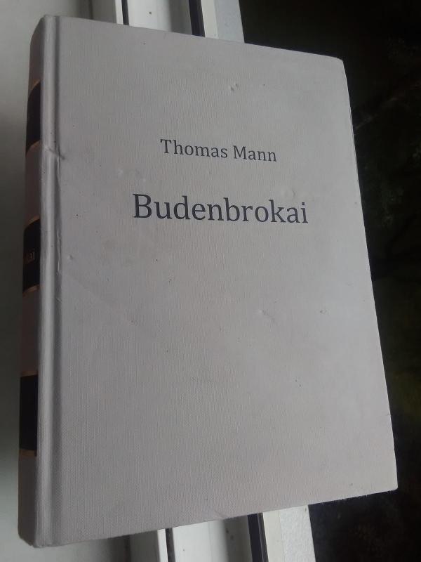 Budenbrokai - Thomas Mann, knyga 2