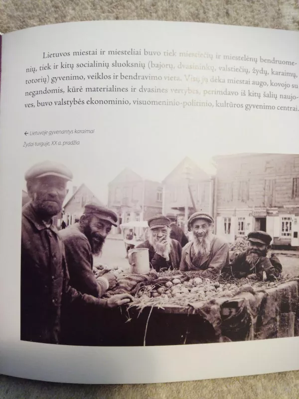 Lietuvos miestai - Zigmantas Kiaupa, knyga 5