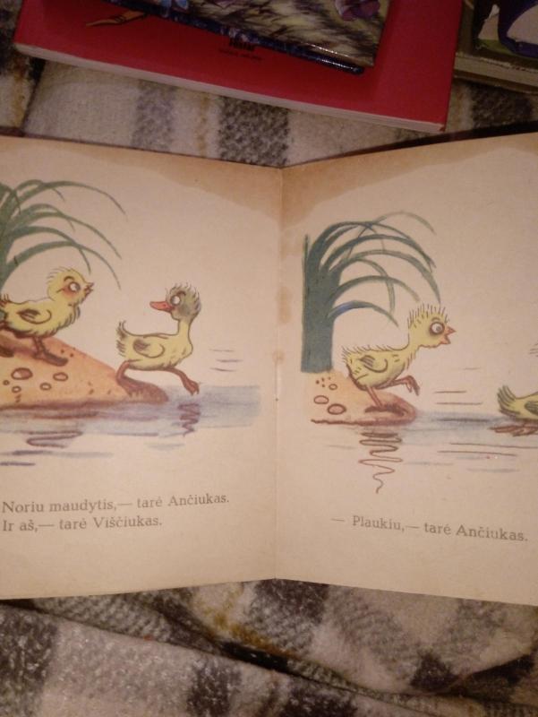 Viščiukas ir ančiukas - Vladimiras Sutejevas, knyga 3