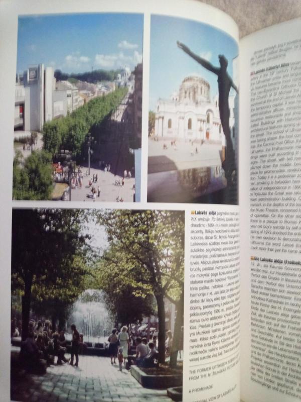 Kaunas - Vilija Tūrienė, knyga 4