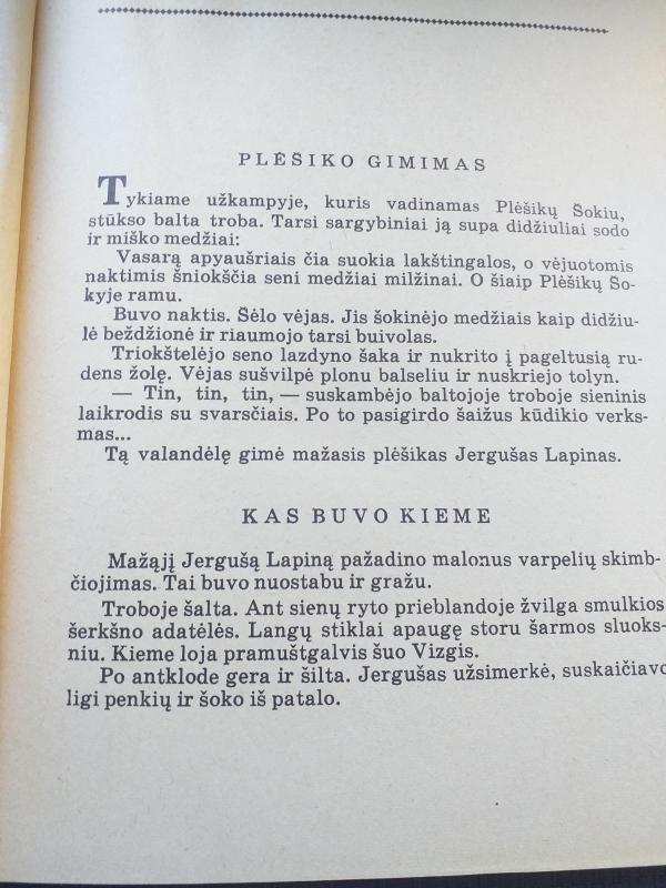 Plėšiko jaunystė - Liudas Ondrejovas, knyga 5