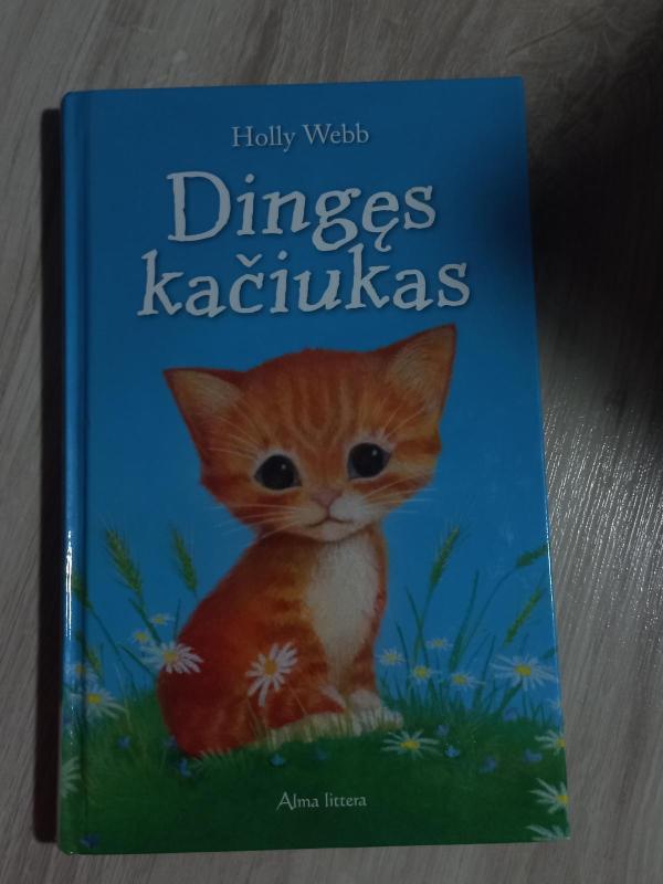 Dingęs kačiukas - Holly Webb, knyga 3