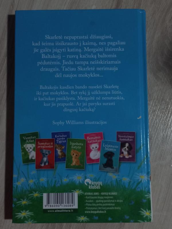 Dingęs kačiukas - Holly Webb, knyga 2