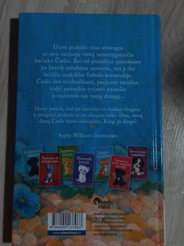 Vienišas kačiukas - Autorių Kolektyvas, knyga 2