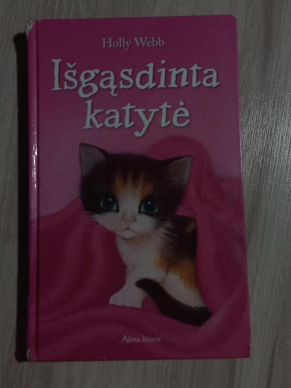 Išgąsdinta katytė - Holly Webb, knyga 3