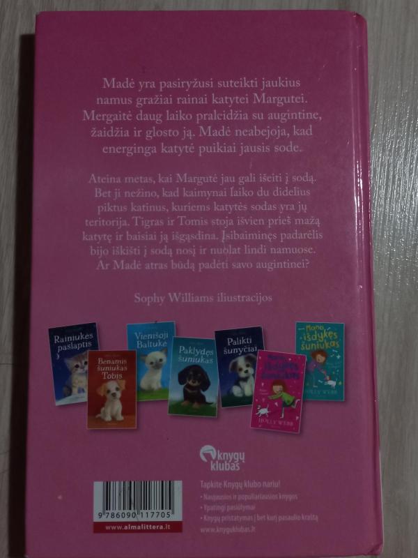 Išgąsdinta katytė - Holly Webb, knyga 2