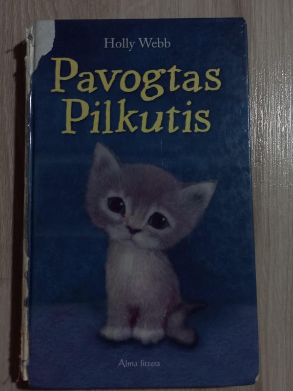 Pavogtas pilkutis - Holly Webb, knyga 3