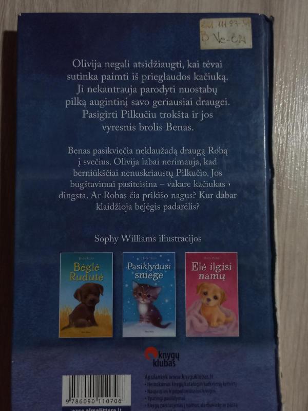 Pavogtas pilkutis - Holly Webb, knyga 2