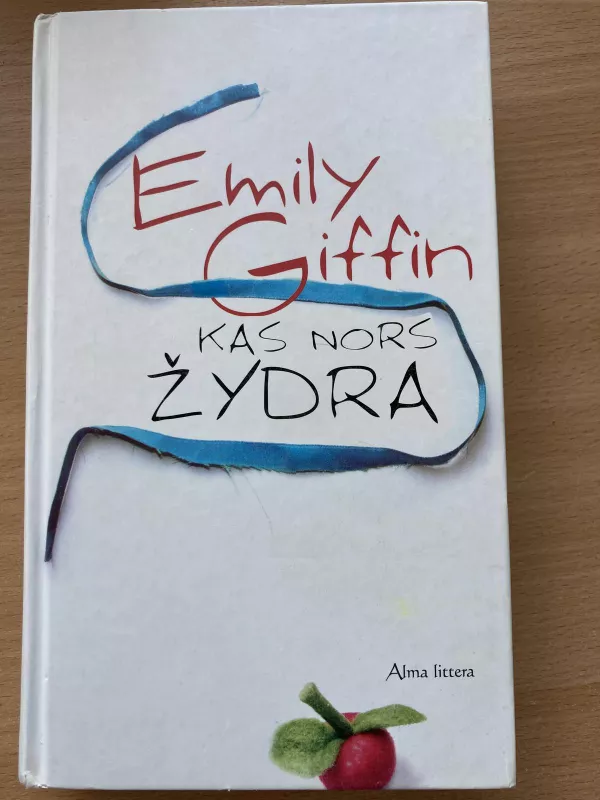 Kas nors žydra - Emily Griffin, knyga 2