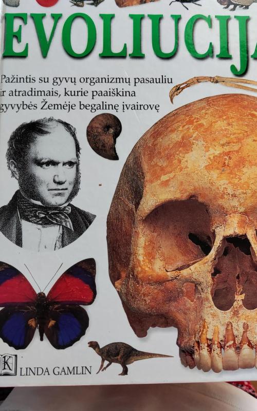 Evoliucija - Linda Gamlin, knyga