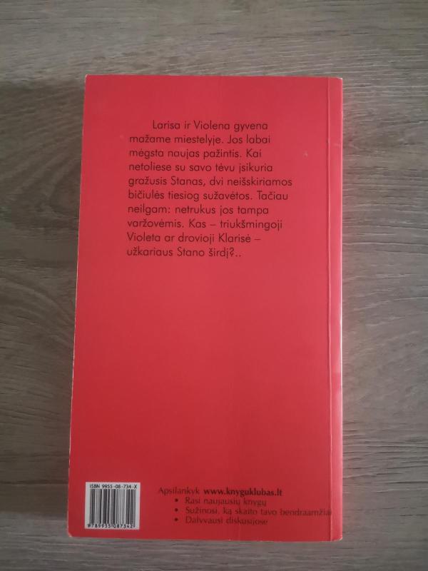 Pašalietis - Michel Amelin, knyga 3