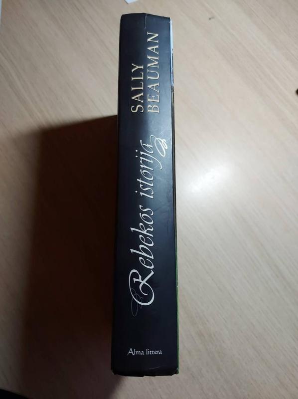 Rebekos istorija - Sally Beauman, knyga 2