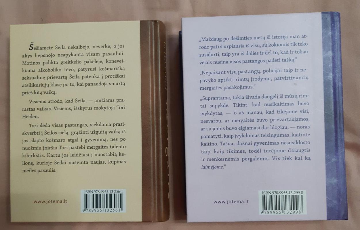 Mergaitė vaiduoklis - Torey Hayden, knyga 3