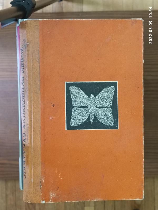 Trumpa vasara - Martinas Andersenas Neksė, knyga 3