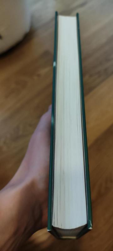 Žiedų valdovas. Dvi tvirtovės - J. R. R. Tolkien, knyga 3