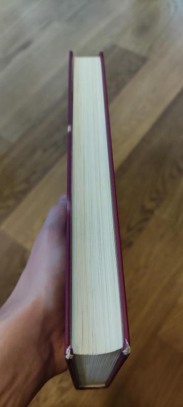 Žiedų valdovas (1 dalis): Žiedo brolija - J. R. R. Tolkien, knyga 3