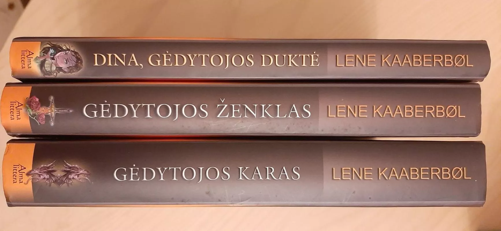 Dina, gėdytojos duktė - Lene Kaaberbol, knyga