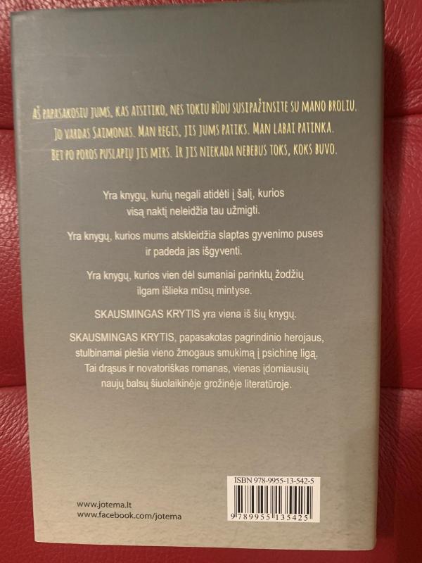 Skausmingas krytis - Nathan Filer, knyga 3