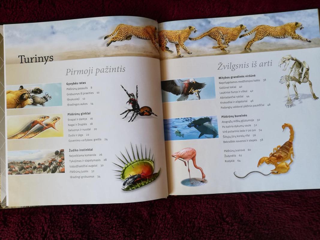 Plėšrūnai - Seidensticker John, knyga 3