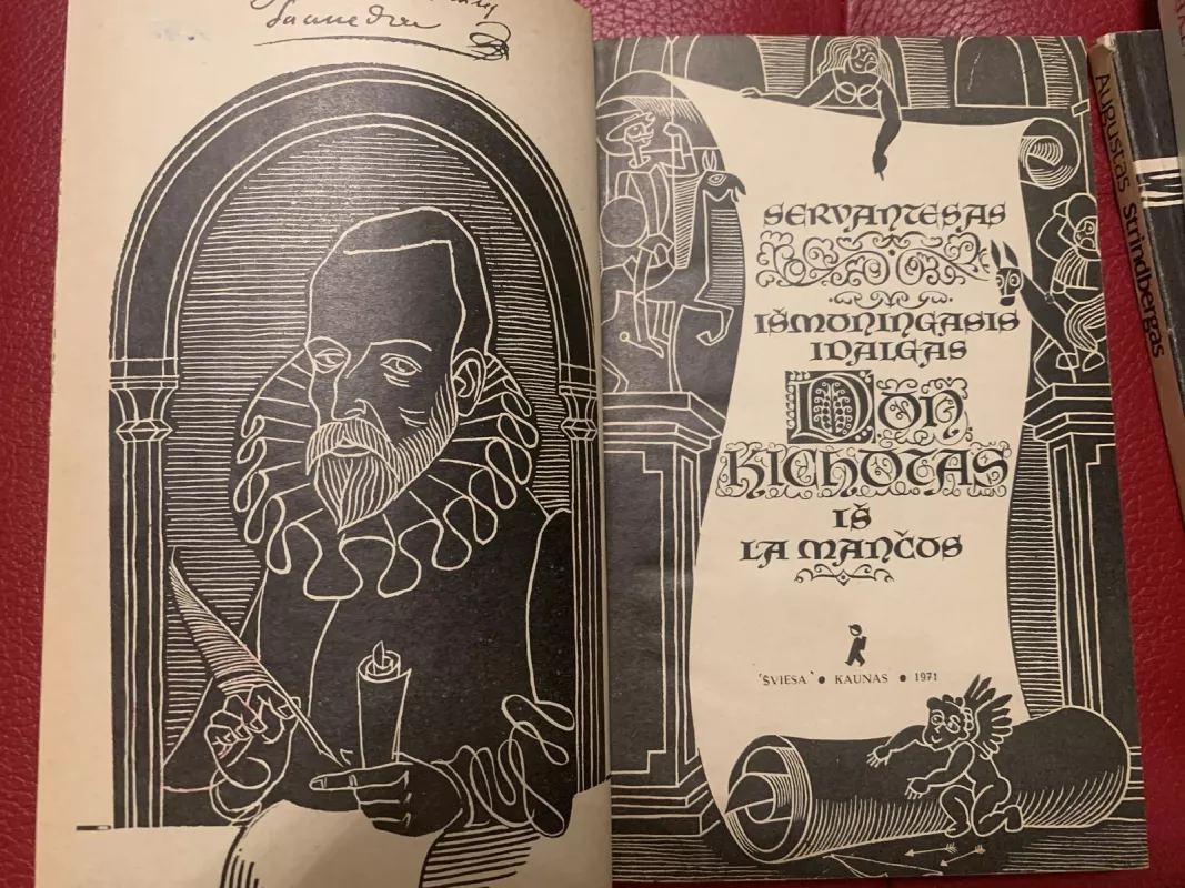 Išmoningas idalgas Don Kichotas iš La Mančos - Migelis Servantesas, knyga
