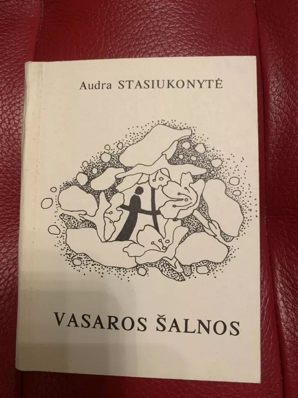 Vasaros šalnos - Audra Stasiukonytė, knyga 3