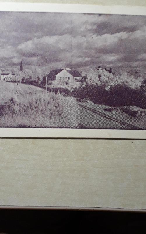 Pranciškonų Kretingoje leidinys - Autorių Kolektyvas, knyga 2