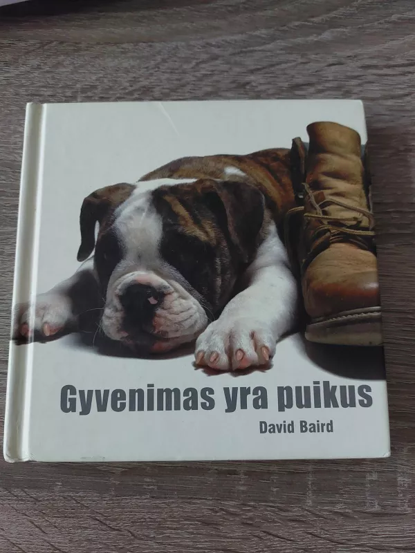 Gyvenimas yra puikus - David Baird, knyga