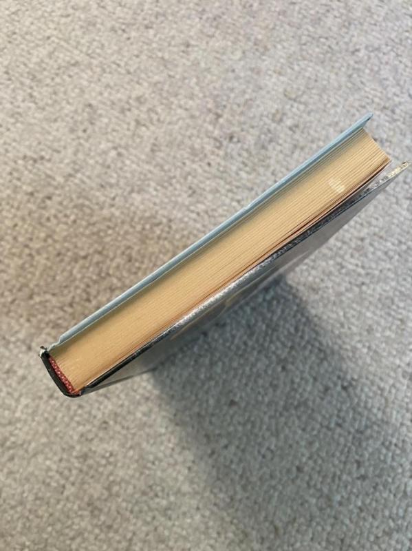 Tiltas per amžinybę - Richard Bach, knyga 5