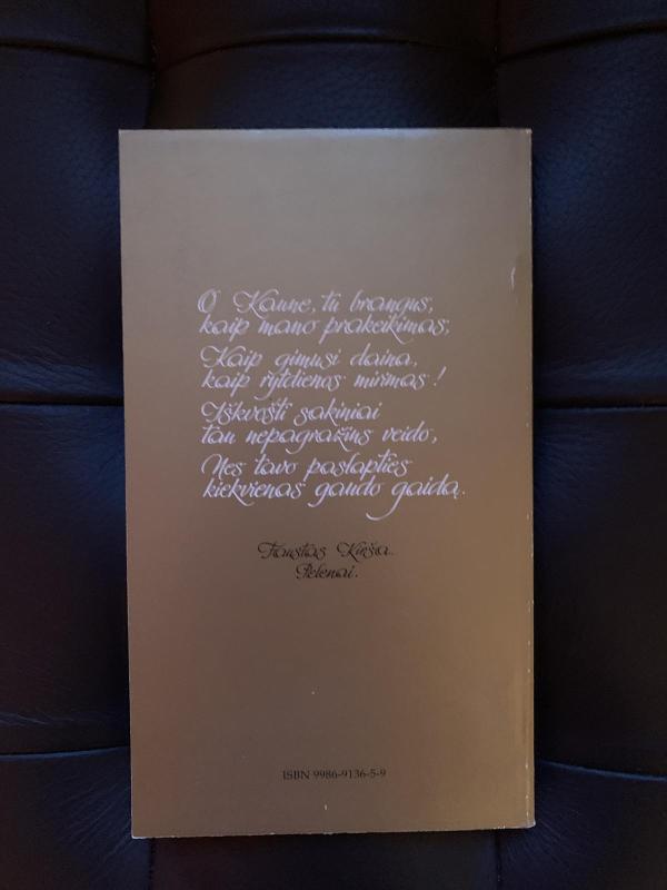 Poetų Kaunas - ir kt. Samėnas A., knyga 2