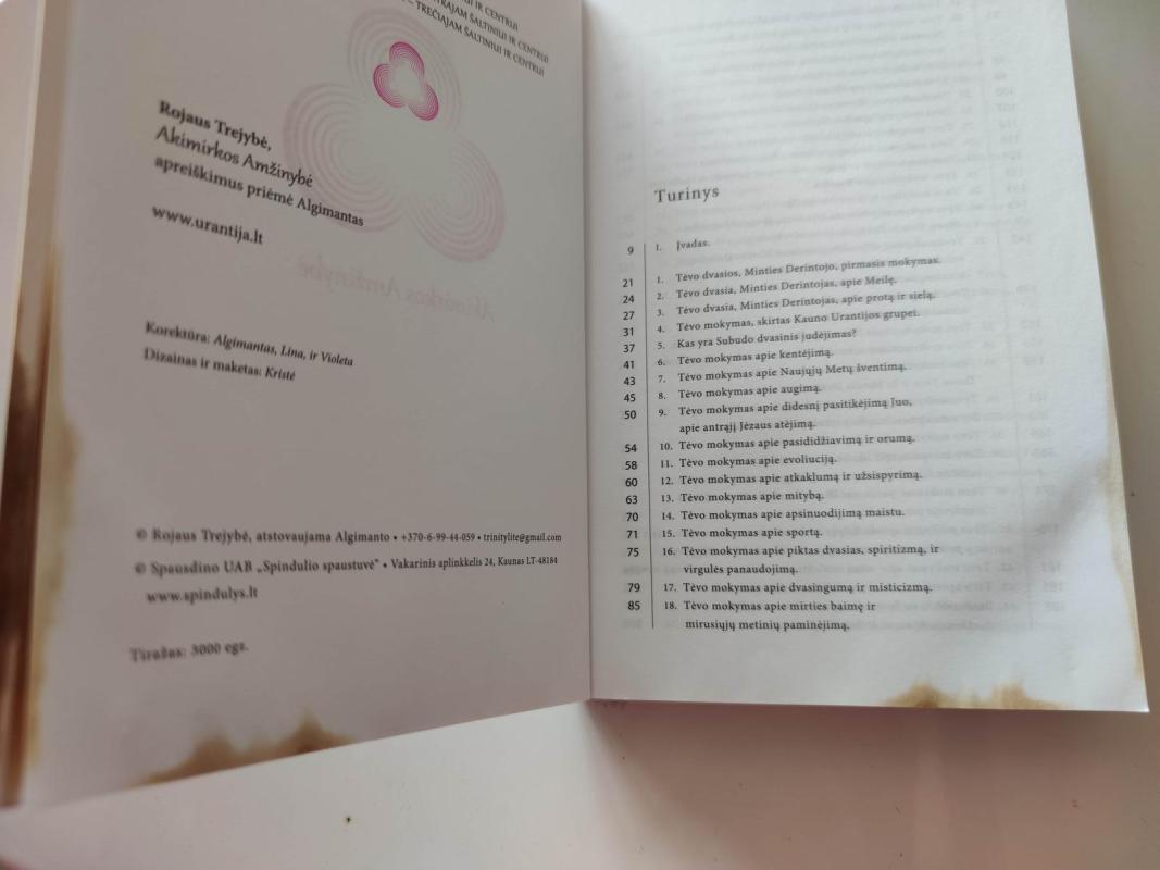 Akimirkos Amžinybė - Algimantas Jokubėnas, knyga 2