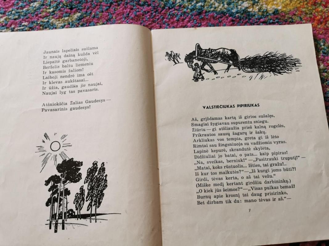 Žaliasis gaudesys - V. Nekrasovas, knyga 3