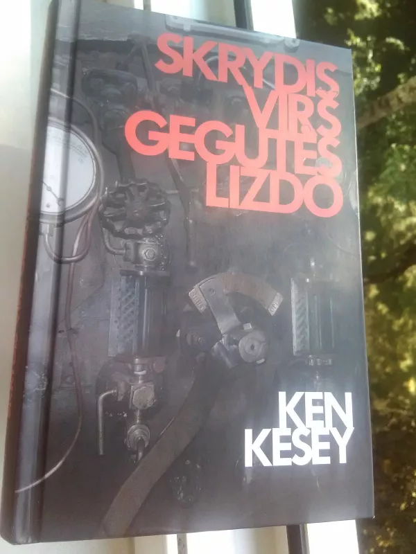 Skrydis virš gegutės lizdo - Ken Kesey, knyga 2