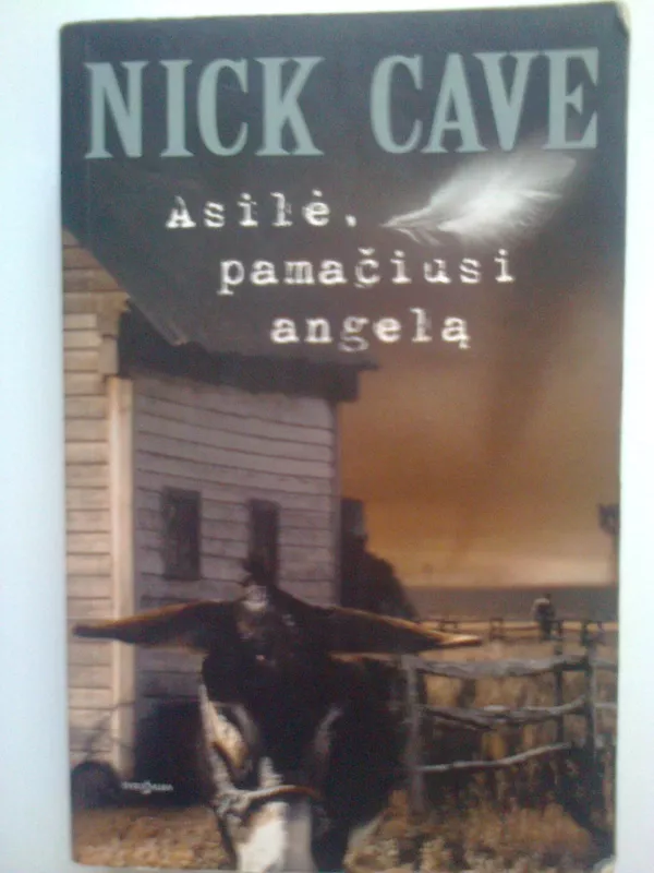 Asilė, pamačiusi angelą - Nick Cave, knyga