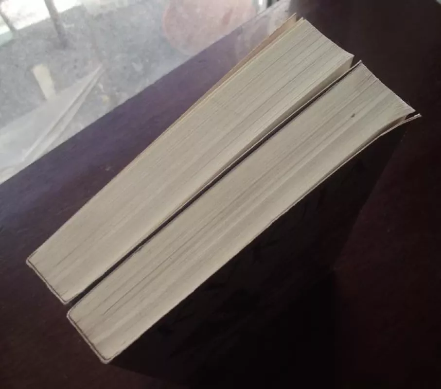 Кукла (комплект из 2 книг) (2 книги) - Болеслав Прус, knyga 4